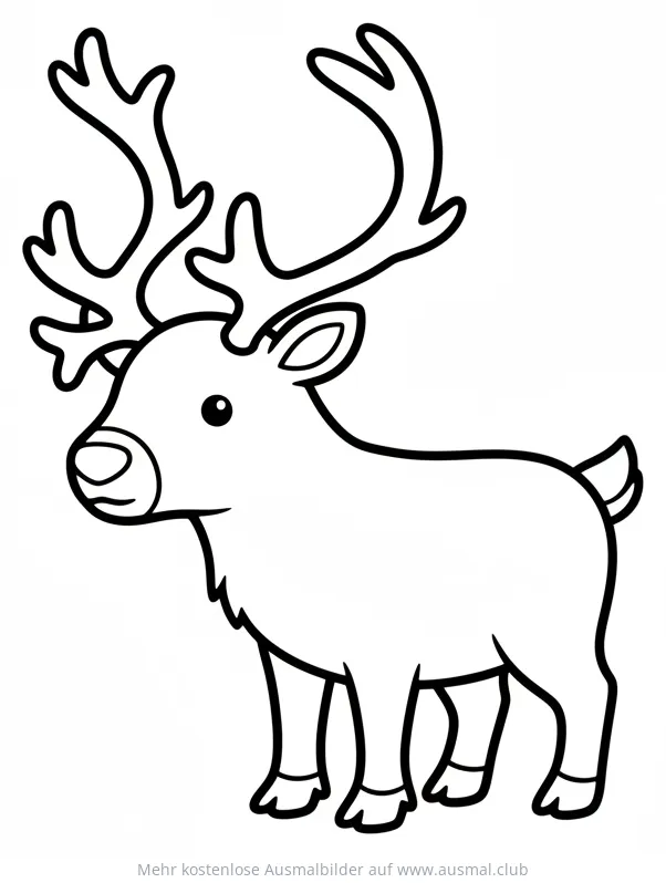 Rentier Ausmalbild mit großem Geweih
