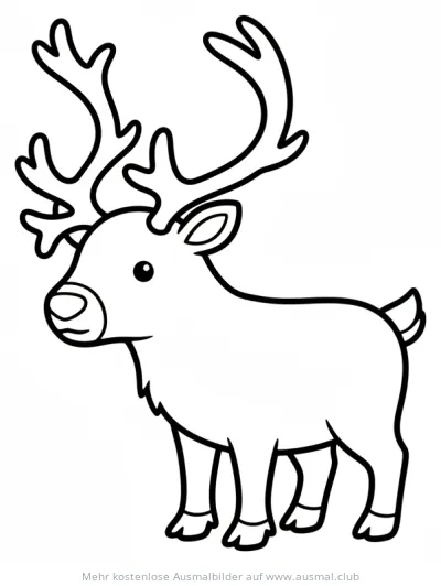 Rentier Ausmalbild mit großem Geweih