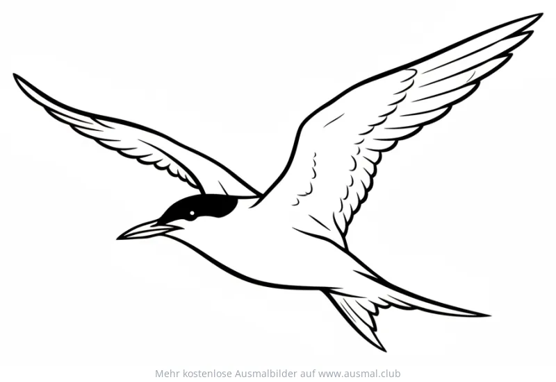 Arktis Seeschwalbe Ausmalbild im Flug