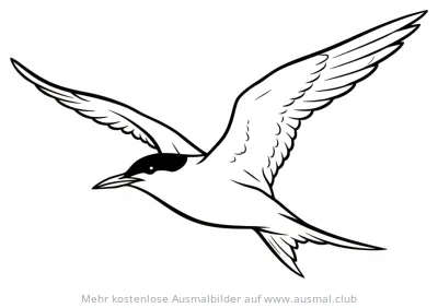 Arktis Seeschwalbe Ausmalbild im Flug