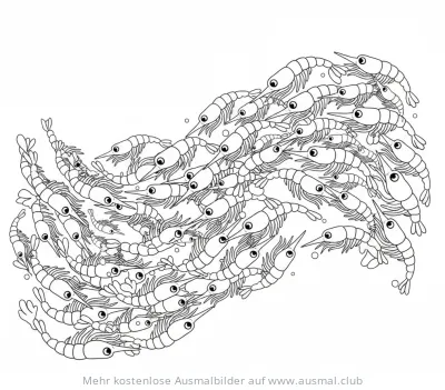 Krill Schwarm Ausmalbild