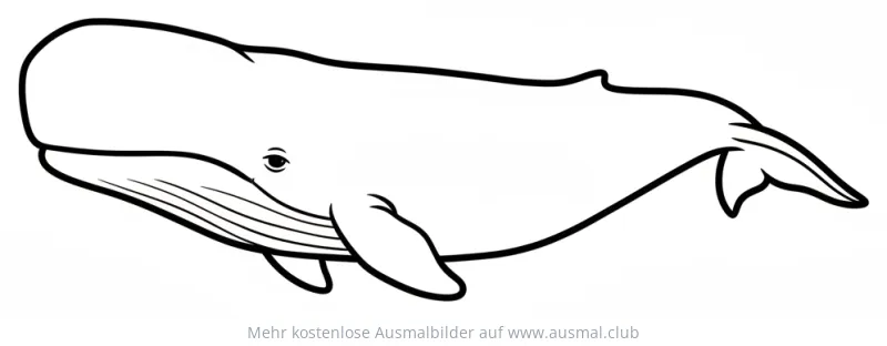 Grönlandwal Ausmalbild im Arktischen Ozean