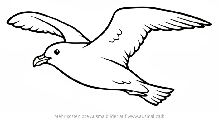 Skuas Ausmalbild im Flug