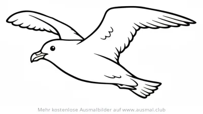 Skuas Ausmalbild im Flug