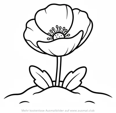 Blume Ausmalbild in der Arktis