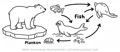 Arktische Nahrungskette Ausmalbild mit Eisbär, Robbe, Fisch und Plankton