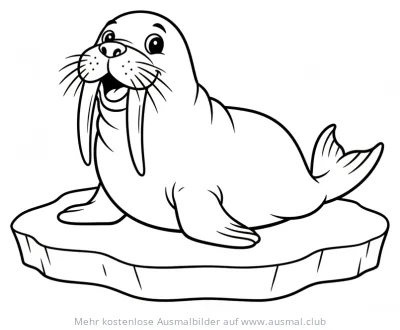 Walross auf Eisscholle Ausmalbild