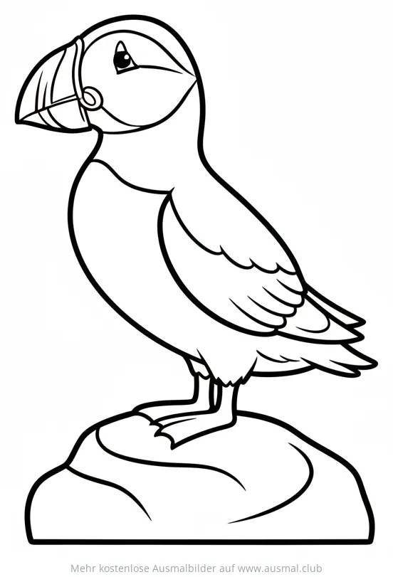 Papageitaucher auf Felsen Ausmalbild