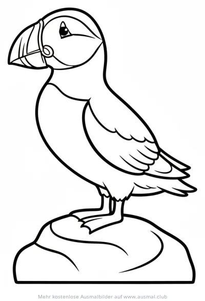 Papageitaucher auf Felsen Ausmalbild
