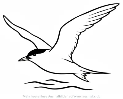 Arktische Seeschwalbe im Flug Ausmalbild