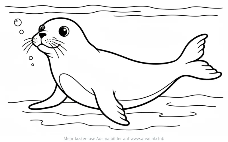 Seehund im Wasser Ausmalbild