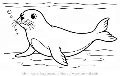 Seehund im Wasser Ausmalbild