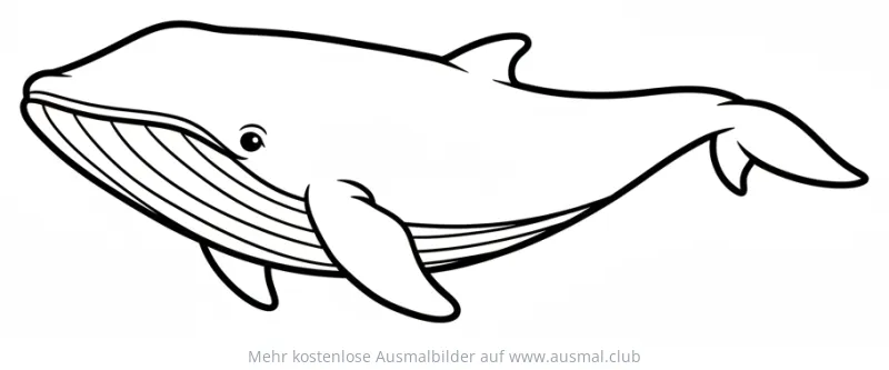 Freundlicher Zwergwal Ausmalbild