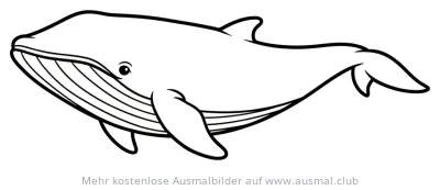 Freundlicher Zwergwal Ausmalbild