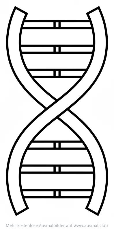 DNA Doppelhelix Ausmalbild