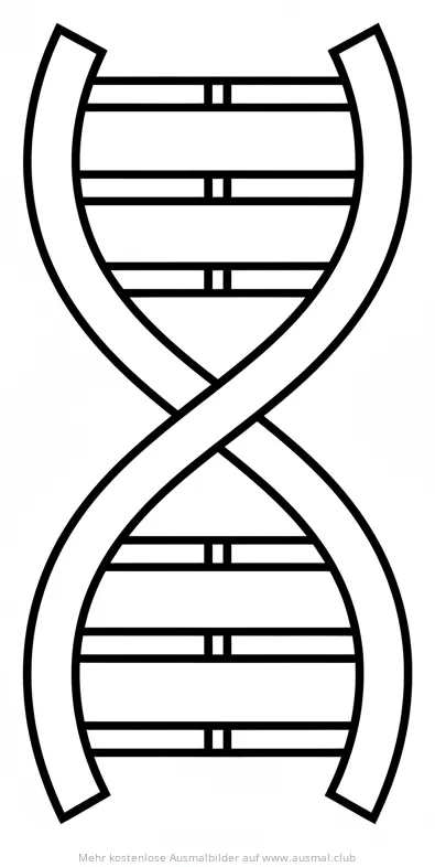 DNA Doppelhelix Ausmalbild