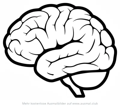 Gehirn Ausmalbild