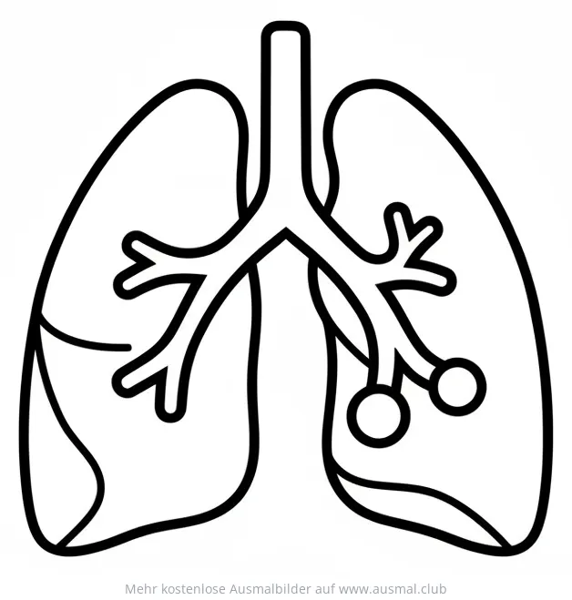 Lunge Ausmalbild