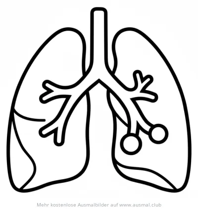 Lunge Ausmalbild