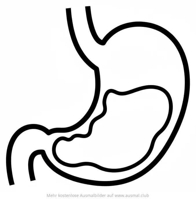 Magen Ausmalbild