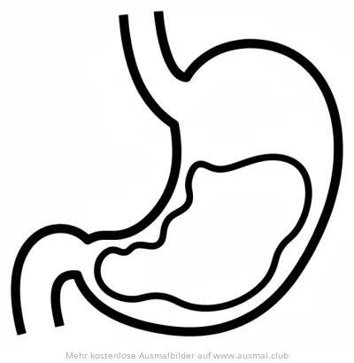 Magen Ausmalbild