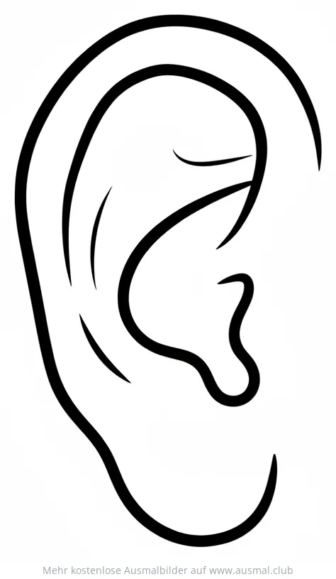 Menschliches Ohr Ausmalbild