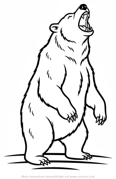 Grizzlybär brüllend Ausmalbild