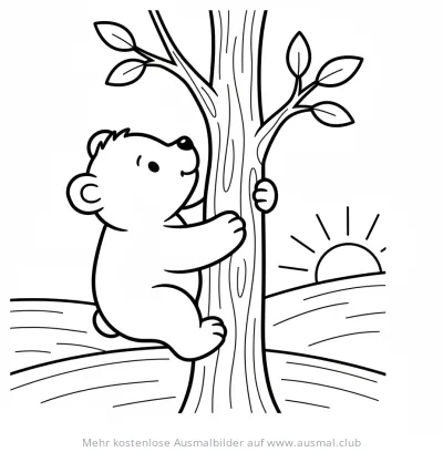 Bär klettert auf Baum Ausmalbild mit Sonne