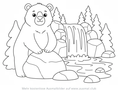 Braunbär sitzt auf Felsen vor Wasserfall Ausmalbild