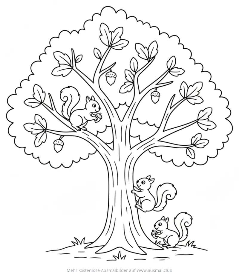 Eichhörnchen im Baum Ausmalbild