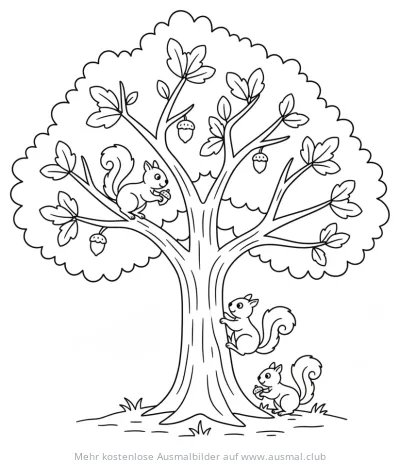 Eichhörnchen im Baum Ausmalbild