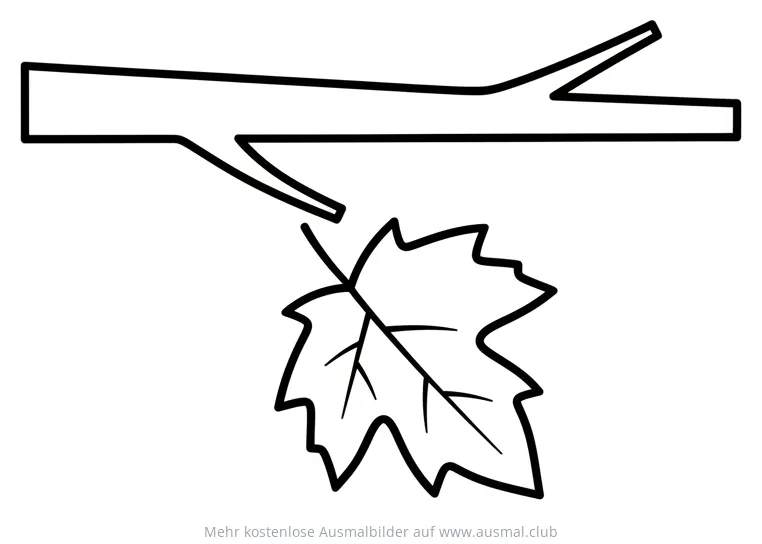 Blatt hängt an Ast Ausmalbild