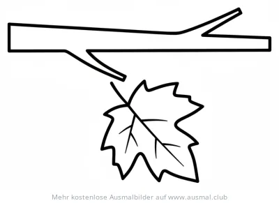 Blatt hängt an Ast Ausmalbild