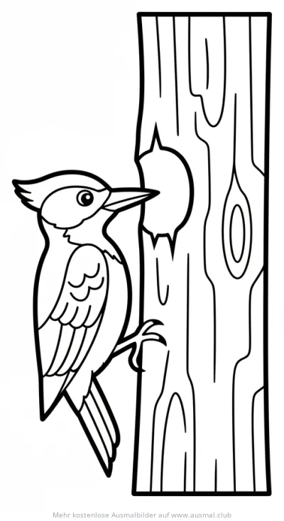 Specht pickt Loch in Baumstamm Ausmalbild