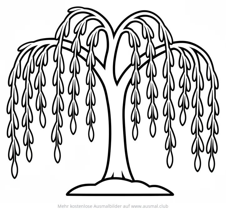 Trauerweide Ausmalbild mit herabhängenden Ästen