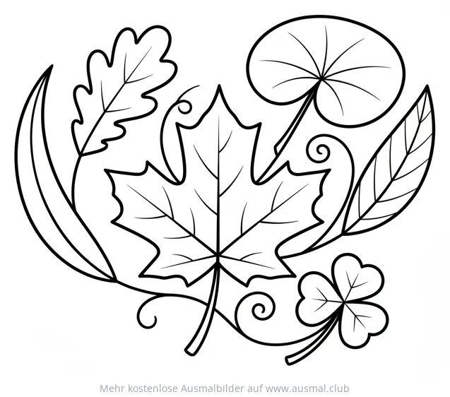 Verschiedene Blätter (Ahorn, Eiche, Klee) Ausmalbild