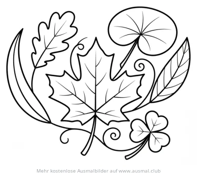 Verschiedene Blätter (Ahorn, Eiche, Klee) Ausmalbild