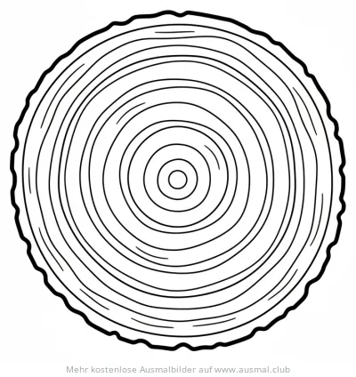 Baumstamm mit Baumringen Ausmalbild