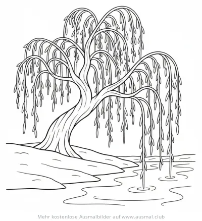 Trauerweide am Ufer Ausmalbild