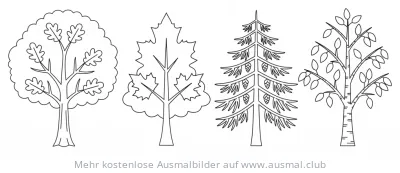Verschiedene Baumarten (Eiche, Ahorn, Tanne, Birke) Ausmalbild