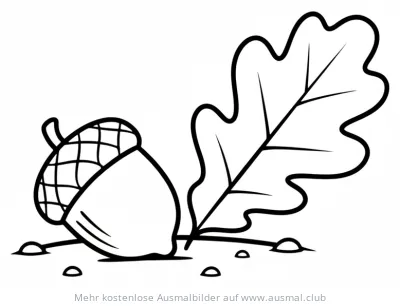 Eichel mit Eichenblatt Ausmalbild