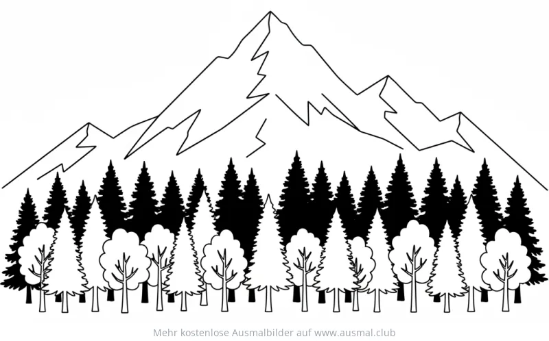 Bergwald mit Nadelbäumen und Laubbäumen Ausmalbild