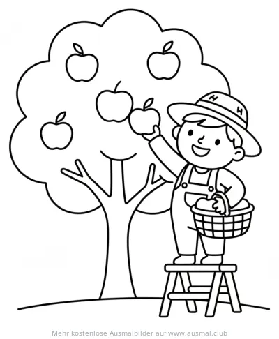 Bauer Junge erntet Äpfel vom Baum Ausmalbild
