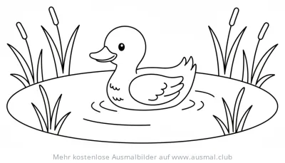 Niedliche Ente schwimmt auf einem Teich Ausmalbild