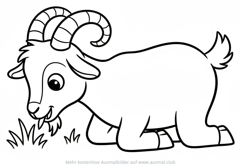 Grasende Ziege Ausmalbild