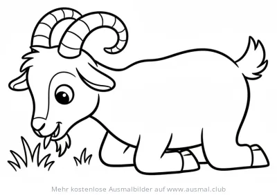 Grasende Ziege Ausmalbild