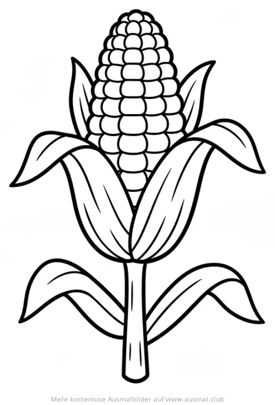 Maiskolben Ausmalbild