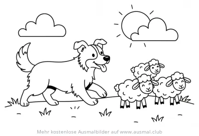 Hütehund mit Schafen Ausmalbild