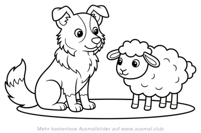 Border Collie und Schaf Ausmalbild