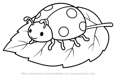 Marienkäfer auf Blatt Ausmalbild